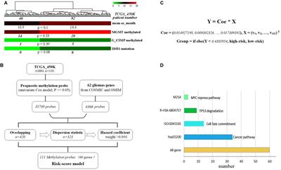 Hypomethylation of 111 Probes Predicts Poor Prognosis for Glioblastoma